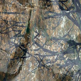 Ozdobný paraván, Záhadný strom - 145x170 cm, štvordielny, korkový paraván