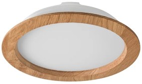 LED Podhľadové svietidlo WOODY SPOT LED/23,5W/230V 4000K dub ø 23,5 cm
