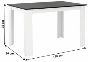 Jedálenský stôl Plat (obdĺžnik) (pre 4 osoby) (biela + čierna). Vlastná spoľahlivá doprava až k Vám domov. 794792