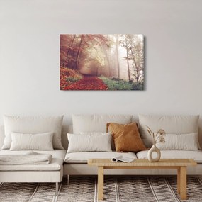 Obraz - Jesenná prechádzka lesom (90x60 cm)