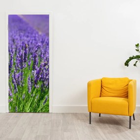 Fototapeta na dvere - Levanduľa (95x205cm)