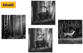 Set obrazov lesné zvieratá v čiernobielom prevedení
