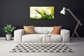 Obraz na plátne Tulipány kvety rastlina 125x50 cm