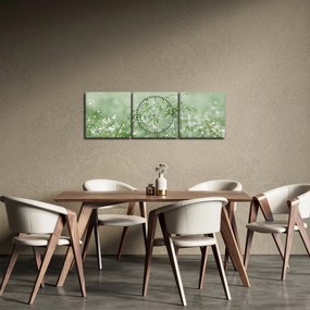 Obraz - Rosa v tráve (s hodinami) (90x30 cm)