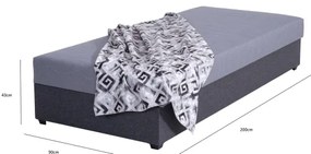 Čalúnená válenda s úložným priestorom JACOB XL nosnosť 130 kg 90x200 cm sivá