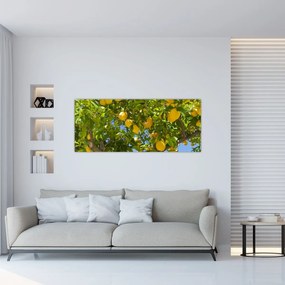 Obraz - Citrónovník (120x50 cm)