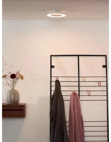 Lucide 79177/06/31 - LED stropné svietidlo FOSKAL LED/6W/230V 21,5 cm biele