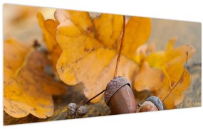Obraz - Jesenné žalude (120x50 cm)