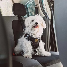BabyAutoPets BabyPets TRAVEL FIX systém S BLACK
