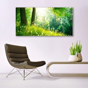 Obraz plexi Lúka príroda rastlina 120x60 cm