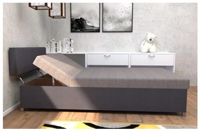 Čalúnená válenda s nastaviteľným polohovaním a úložným priestorom DALLAS 108x205 cm sivá/antracit