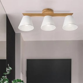 Brilagi - LED  Prisadený luster ANTHONY 3xE14/40W/230V dub/biela