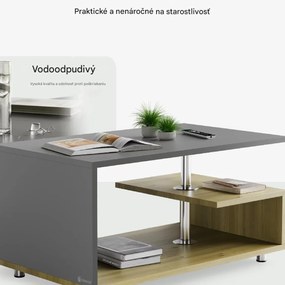 InternetovaZahrada Konferenčný stolík Orlando 95x55x50 cm - drevo/sivá