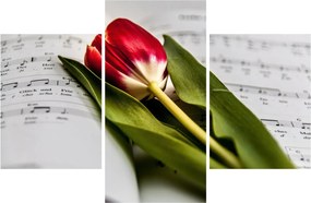 Obraz červeného tulipánu (90x60 cm)