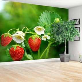 Fototapeta Vliesová Zelené jahody 104x70 cm