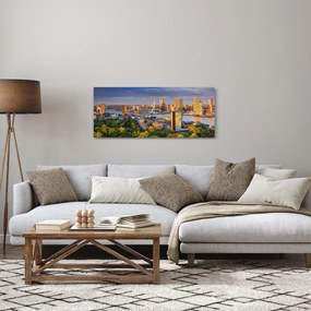 Obraz - Panorama Rotterdamu, Holandsko (120x50 cm)