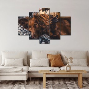 Obraz ležiacich psov (150x105 cm)