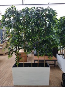 Zástena 180cm x 60cm