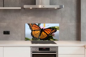 Nástenný panel  farebný motýľ 125x50 cm