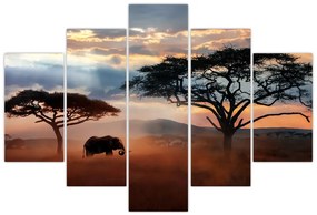 Obraz - Národný park Serengeti, Tanzánia, Afrika (150x105 cm)