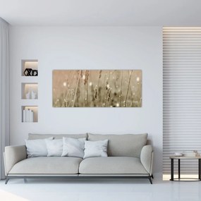 Obraz - Harmonická lúka (120x50 cm)