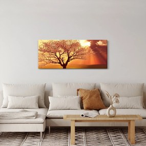 Obraz lúčov Boha (120x50 cm)