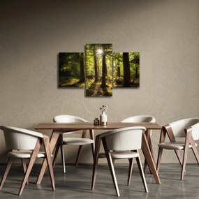 Obraz snového lesa (90x60 cm)