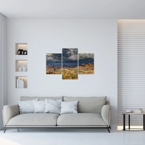 Obraz - kaktusy v prírode (90x60 cm)