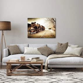 Obraz - Historická lokomotíva (70x50 cm)