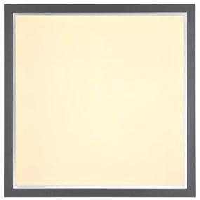 Globo 41582D2 - LED Stropné svietidlo DOHA LED/24W/230V