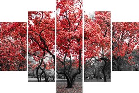 Obraz - Červené stromy, Central Park, New York (150x105 cm)