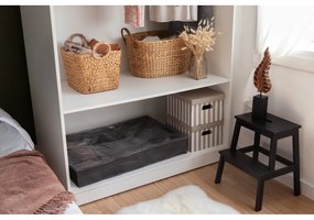 Úložný box na topánky Compactor Flat, 90 x 60 cm