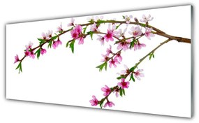 Obraz na akrylátovom skle Vetva kvet príroda 125x50 cm