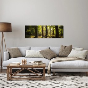 Obraz snového lesa (s hodinami) (90x30 cm)