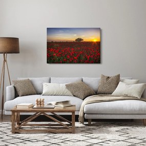 Obraz lúky s vlčími makmi (90x60 cm)