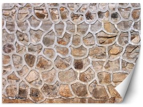 Fototapeta, Kamenná zeď Vintage - 250x175 cm