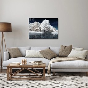 Sklenený obraz - Snehobiele stromy (70x50 cm)