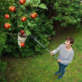 Česáčik na ovocie s teleskopickou rukoväťou