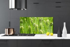 Sklenený obklad Do kuchyne Rastlina príroda 120x60 cm
