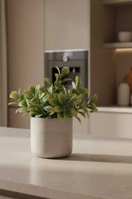 Kvetináč CHICO, sklolaminát, výška 31 cm, béžová