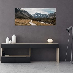 Obraz - Chodník v údolí hory Mt. Cook (120x50 cm)