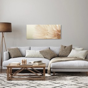 Obraz - Detaily kvetu (120x50 cm)