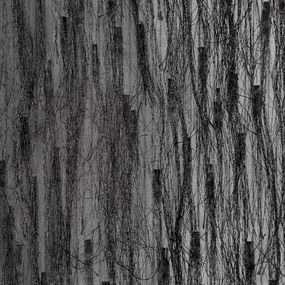 ZÁVES NA KRÚŽKOCH EVA MINGE AURORA 140X250 CM ČIERNA