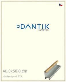 DANTIK rám na obraz 40x50 | ALU Dýha javor (Plexi Čiré)