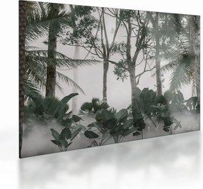Sklenený obraz - Jungle v rannej hmle (70x50 cm)