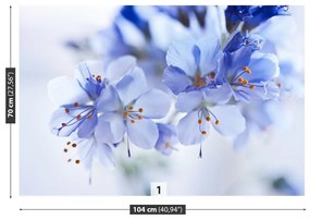 Fototapeta Vliesová Modré kvety 104x70 cm