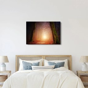 Obraz jesenného lesa v hmle (90x60 cm)