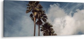 Obraz - Palmová dráma (120x50 cm)