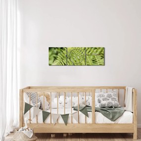 Obraz - Papradinový list (s hodinami) (90x30 cm)
