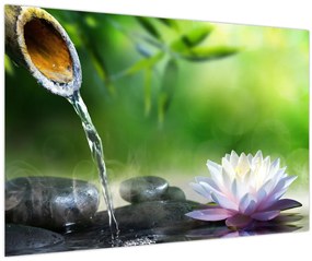 Obraz - Lotus (90x60 cm)